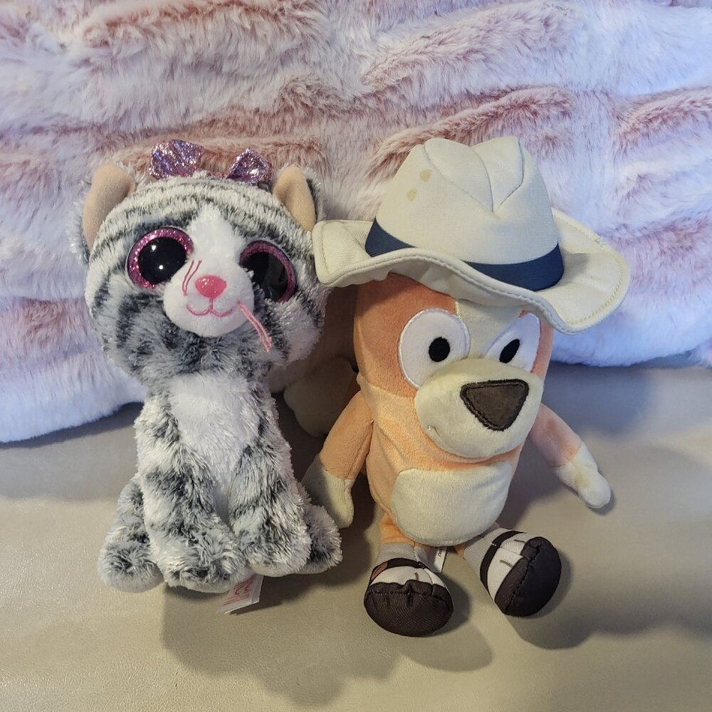 Bingo from blue and bingo.